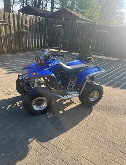 Yamaha Warrior 350 - Merzen