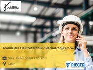 Teamleiter Elektrotechnik / Mechatronik (m/w/d) - Aalen