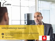 Sales Enablement Specialist - Sigmaringen