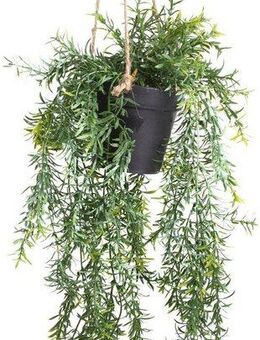 Künstliche Zimmerpflanze Asparagus-Hängeampel Asparagus, Botanic-Haus, Höhe 46 cm
