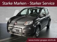 Fiat Panda, 1.0 Panda Hybrid MY23 GSE # #, Jahr 2024 - Hof