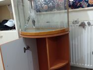 Neue Aquarium mit/ohne Unterschrank OVP - Nürnberg
