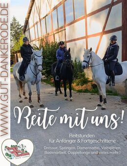 Reitertage auf Gut Dankerode ite - Rotenburg (Fulda) Zentrum