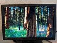 BenQ Bildschirm/Monitor 20,1” (Modell: senseye+photo FP202WA) - Köln