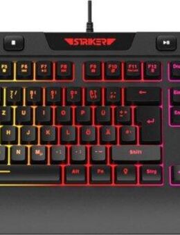 Hyrican Striker ST-GKB8115 (Anti-Ghosting, Multimedia-Tasten, RGB) Gaming-Tastatur