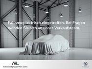 VW Crafter, Pritsche TDI PLANE SPRIEGEL, Jahr 2019 - Northeim