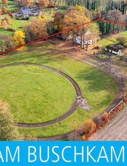 Freiheit, Idylle und einfach für sich sein! Äußerst gepflegte Hofstelle für Tierliebhaber - Verl