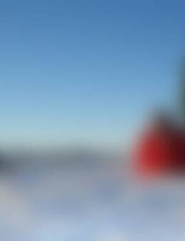 Rai*** - Dingelstädt