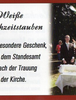 Weiße Hochzeitstauben mit festlichem Trompetensolo - Stadtallendorf