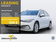 VW Golf Variant, 1.0 eTSI LIFE, Jahr 2022 - Dorsten