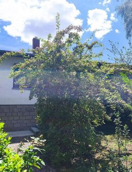 Wohnen in schönster Lage - Stendal (Hansestadt)