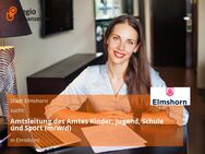 Amtsleitung des Amtes Kinder, Jugend, Schule und Sport (m/w/d) - Elmshorn