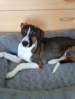 GARCIO ❤ - Langenhagen