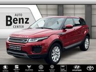 Land Rover Range Rover Evoque, Pure AWD, Jahr 2018 - Laupheim