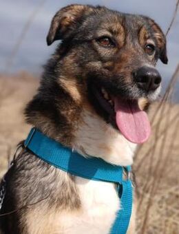 ❣️ Kleine Wasserratte Mia❣️ - Eislingen (Fils)