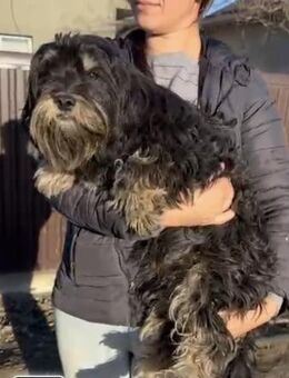 SISSI sucht ihr Kuschelkörbchen - Kreuth