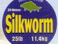 Neu! 2 Vorfach Karpfenvorfach Kryston Silkworm T:8lbs L:20m - Kirchheim (Teck)