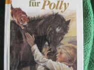 Sehr schönes Kinderbuch „Das schönste Pferd der Welt für Polly“ von Thea Oljelund, empfohlen für Kinder ab 10 Jahren, Franz Schneider Verlag, stammt aus 1986, 125 Seiten, ISBN: 3505092096 - Unterleinleiter
