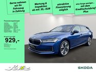 Skoda Superb, 2.0 TDI Combi Selection P, Jahr 2024 - Wangen (Allgäu)