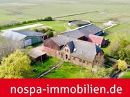 Ehemaliger landwirtschaftlicher Betrieb mit ca. 1,27 ha Grünland auf der Nordseeinsel Pellworm - Pellworm