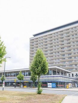 Stilvolle 4-Zi.-Etagenwohnung mit offener Wohnküche, Loggia und lichtdurchfluteten Räumen - Dresden