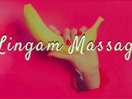 Lingam-Massage - Königslutter (Elm)