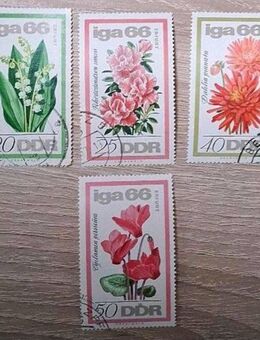 Briefmarken DDR 1966 Blumen/iga 66 komplett gestempelt - Görlitz
