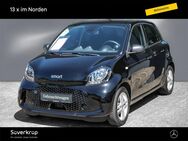 smart EQ forfour, 22KW LM15, Jahr 2021 - Kiel