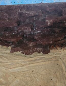 Terrarium Box für Terrarientiere - Magdeburg