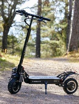 BMW E7 Roller - Renquishausen