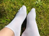 🥵Studentin bietet getragene Socken🥵 - Berlin Charlottenburg-Wilmersdorf