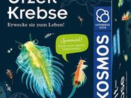 Kosmos Experimentierkasten Urzeit-Krebse, Made in Germany