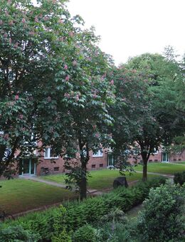 vermietete 2-Zimmer-Wohnung in Hamburg - Eimsbüttel - Hamburg