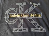 Calvin Klein T Shirt in schwarz - Sankt Leon-Rot