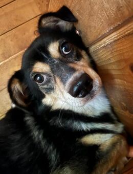 Funky sucht erfahrene Menschen - Kallmünz