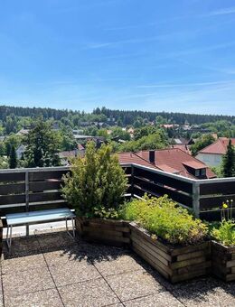 Penthaus in Hahnenklee - Goslar