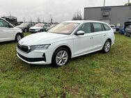 Skoda Octavia, Combi Selection EL HECKKL, Jahr 2024 - Buchholz (Nordheide)