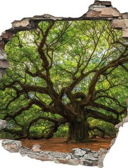 queence Wandtattoo Baum (1 St), Wandsticker, Wandbild, selbstklebend, 3D, Wanddurchbruch