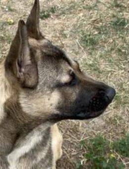 NINJO - zusammen leben find ich gut - Overath