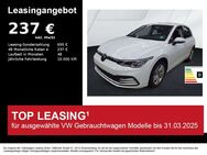 VW Golf, 1.5 TSI VIII Life, Jahr 2024 - Hilpoltstein