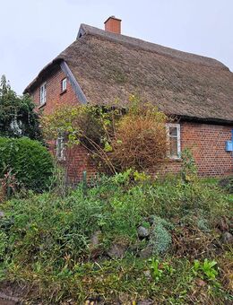 Denkmalgeschützte Rarität: Historisches Reetdachhaus mit viel Potenzial - Gager