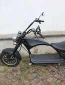 Elektrochopper M1 2000 Watt in 99628