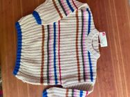 Strickpullover von American Outfitters, 6 Jahre - München