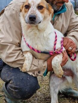 Manchu Spielen ist seine Leidenschaft - Overath