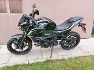 Kawasaki Z 500 - Oppenau