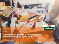 Gruppenleiter Blumen & Pflanzen (m/w/d) Markteröffnung Frühjahr 2025 - Magdeburg