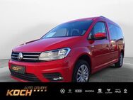 VW Caddy, Maxi, Jahr 2017 - Schwäbisch Hall