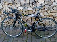 Rennrad 2Danger Giro Comp Ultegra RH 52 - Lindhorst