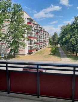 Genießen Sie einen schönen großen Balkon! - Dresden