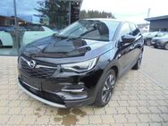 Opel Grandland X Innovation LED-Scheinwerfer Navi Rückfahrkamera - Petting